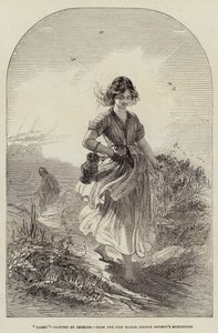 Fény